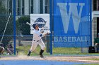 Baseball vs Babson  Wheaton College Baseball vs Babson during Championship game of the NEWMAC Championship hosted by Wheaton. - (Photo by Keith Nordstrom) : Wheaton, baseball, NEWMAC